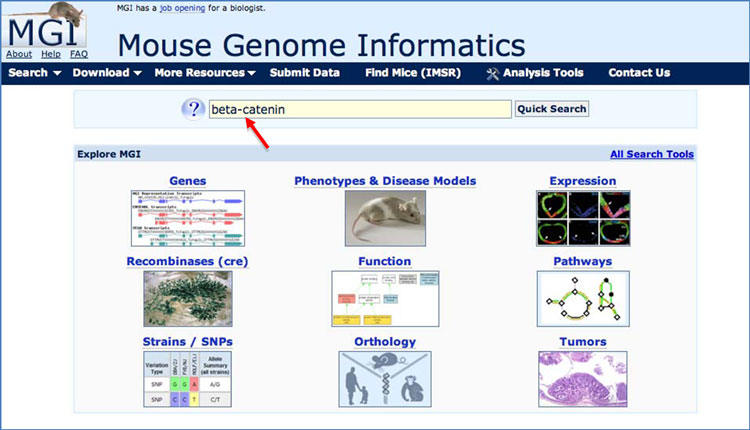 gene-fig-01